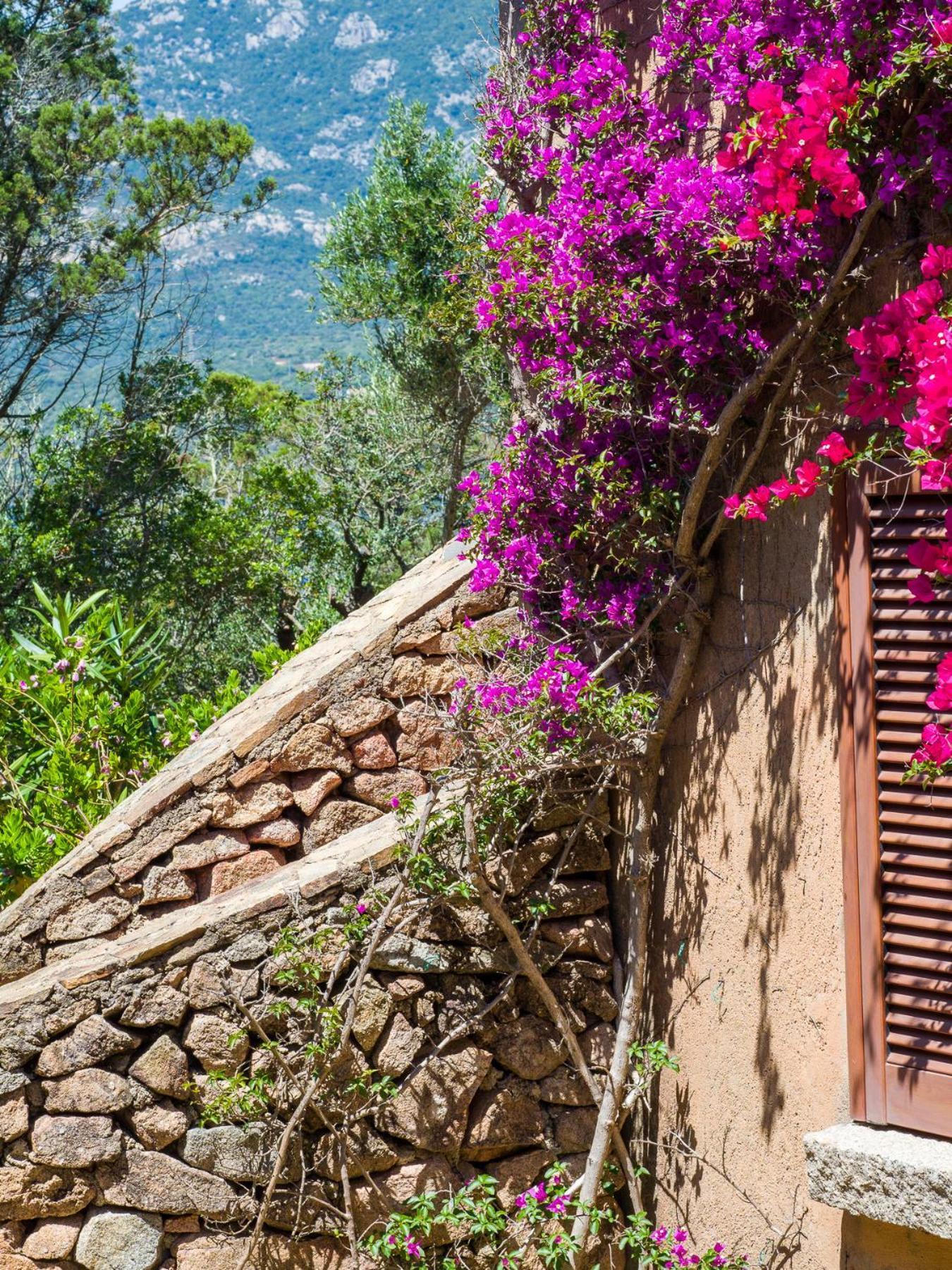 Caletta 10 - Klodge Porto Rotondo Eksteriør bilde