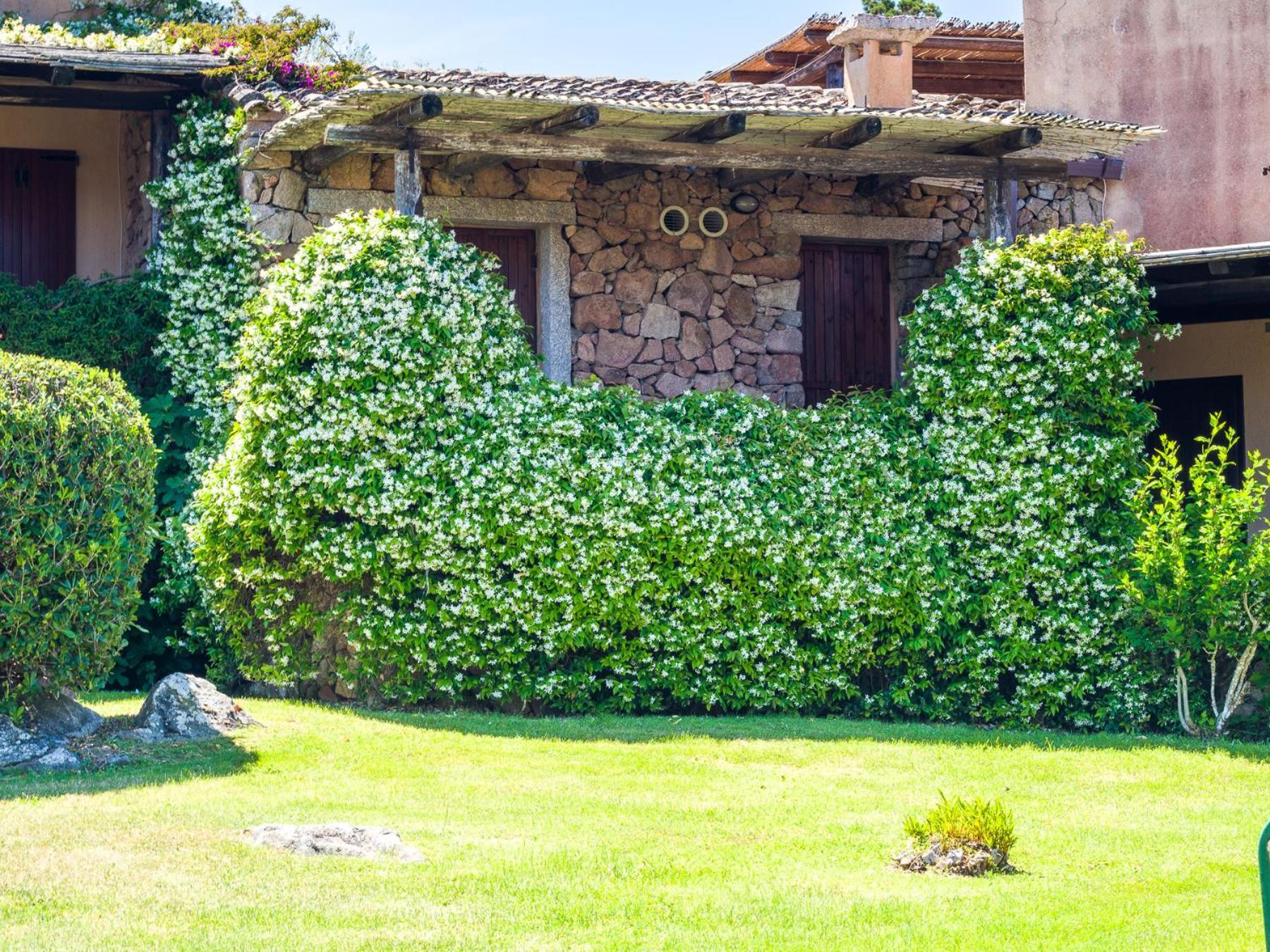 Caletta 10 - Klodge Porto Rotondo Eksteriør bilde